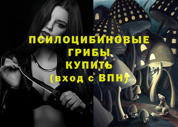 ALPHA-PVP Аркадак